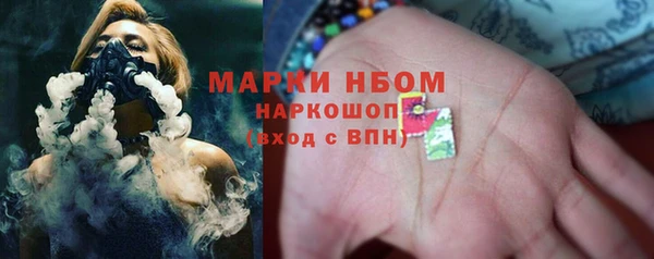 гашик Алексин