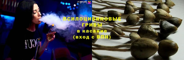 амф Алексеевка