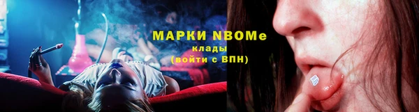 гашик Алексин