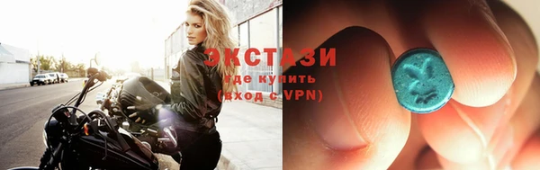 гашик Алексин