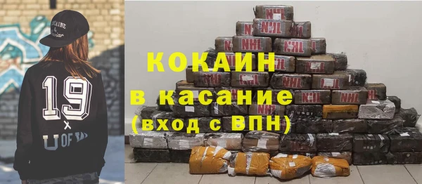 гашик Алексин
