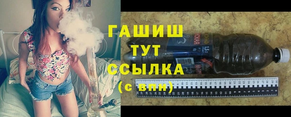 гашик Алексин